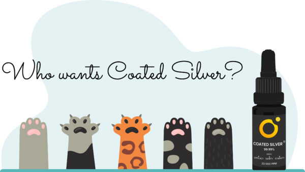 Wie viel kolloidales Silber für Kätzchen/Katzen/Hunde Parasiten